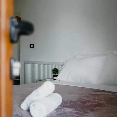 Bujtina Anlu ゲストハウス Nepravishte