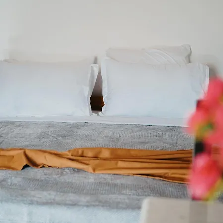 Bujtina Anlu 4* Nepravishte