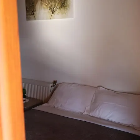 Bujtina Anlu Affittacamere 4*