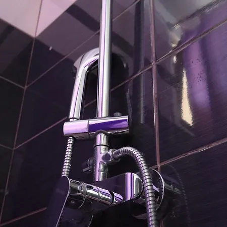 Bujtina Anlu ゲストハウス 4*