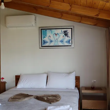 Bujtina Anlu Nepravishte