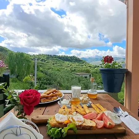 Bujtina Anlu 4*