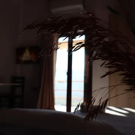 Bujtina Anlu Guest house *