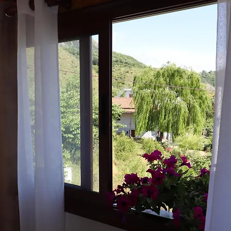 Bujtina Anlu Guest house