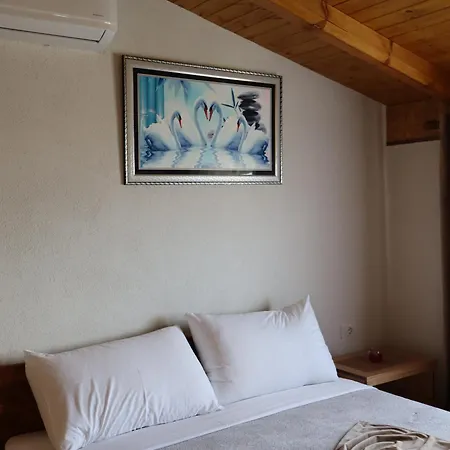 Bujtina Anlu 4* Nepravishte