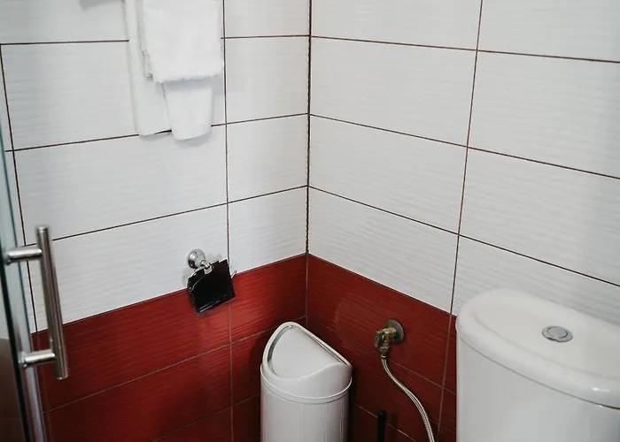 Bujtina Anlu Гостевой дом 4*