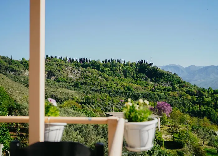 Bujtina Anlu 4* Nepravishte